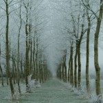Bevroren verdwijnpunt, Flevoland – december 2007