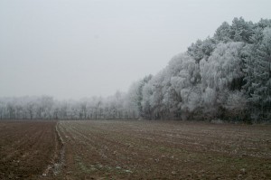 Winterlandschap, 21 december 2007