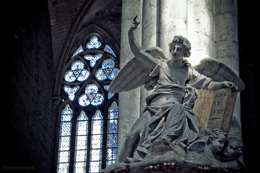 Hoc fac et vives (La cathédrale Notre-Dame d’Amiens)