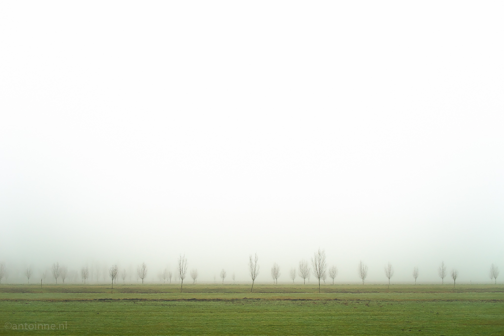Mist (zicht minder dan 1000 meter)