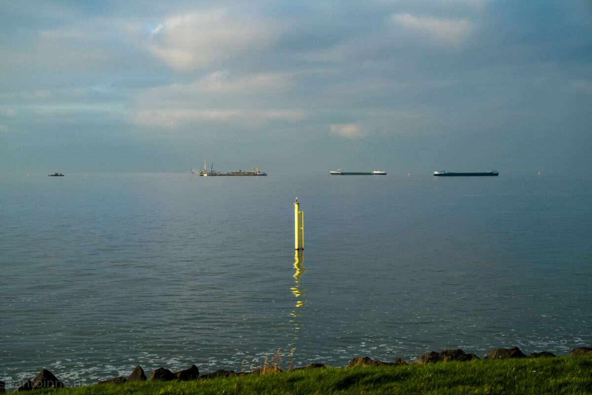 Zicht vanaf Oostvaardersdijk