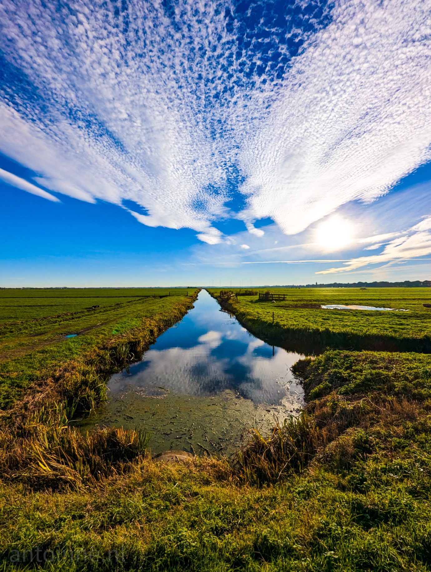Dutch polder 