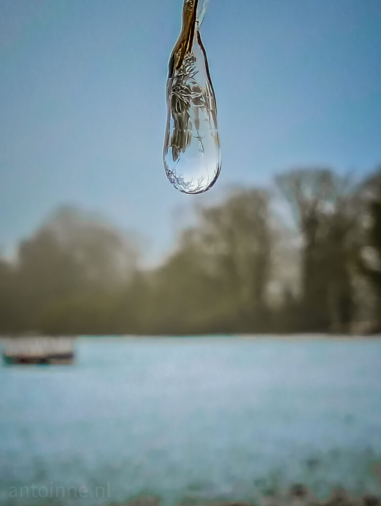 Another frozen drop of water
