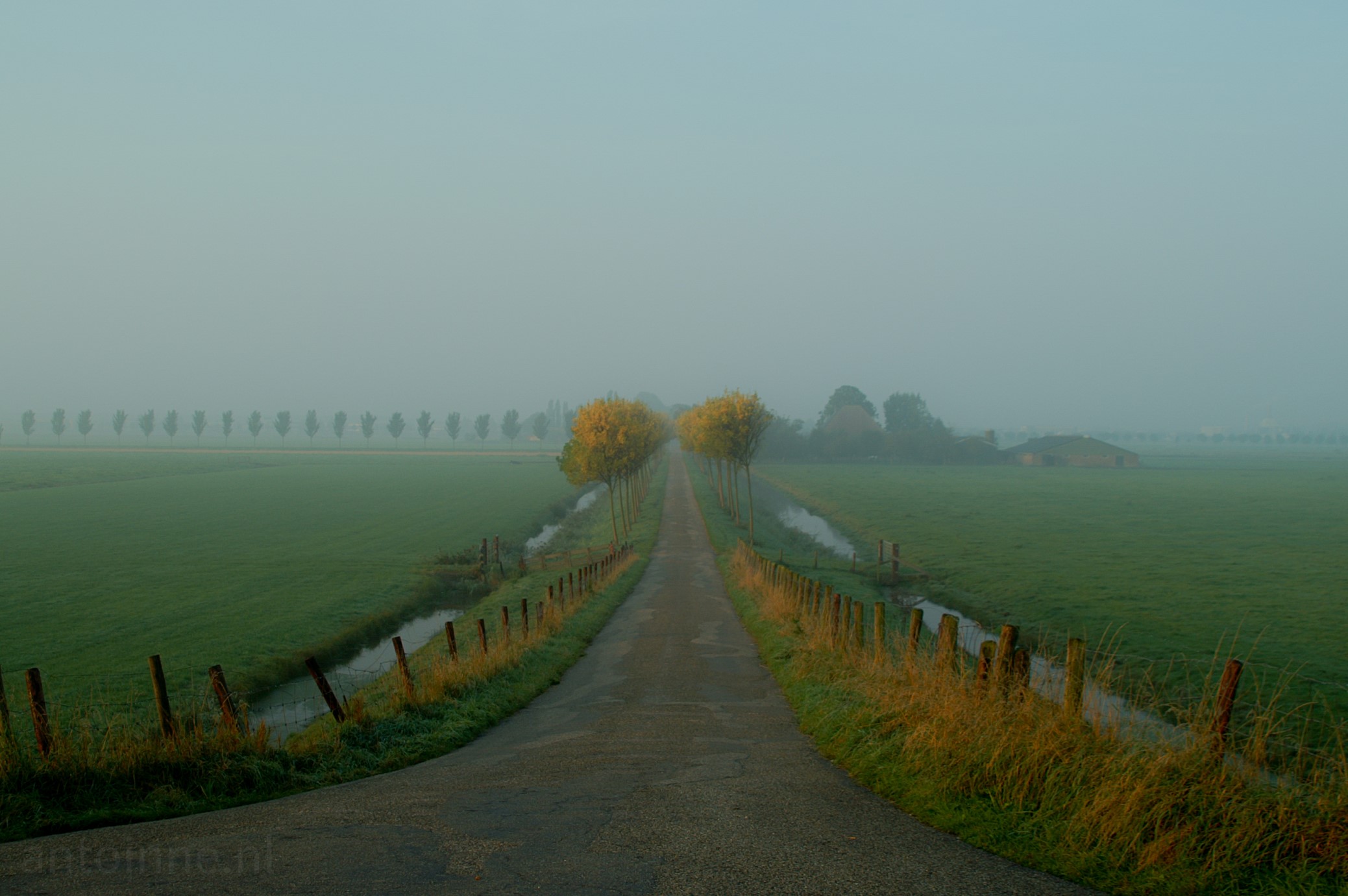 Polder landscape (West-Friesland). Early morning. You are standing on top of a dike, looking down on a foggy polder road. The tops of the trees along the road are highlighted by the rising sun. Far away on the left horizon is another road lined with trees. A farmhouse can be seen on the right. You stay a little longer to enjoy the scenery.