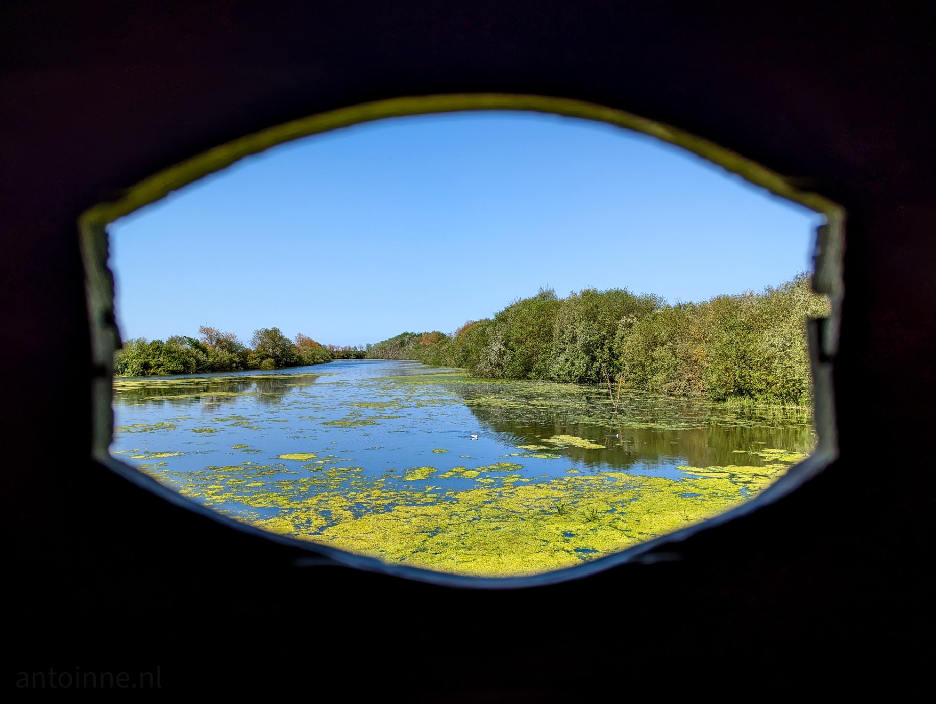 View from inside a bird hide in the Parc du Marquenterre,