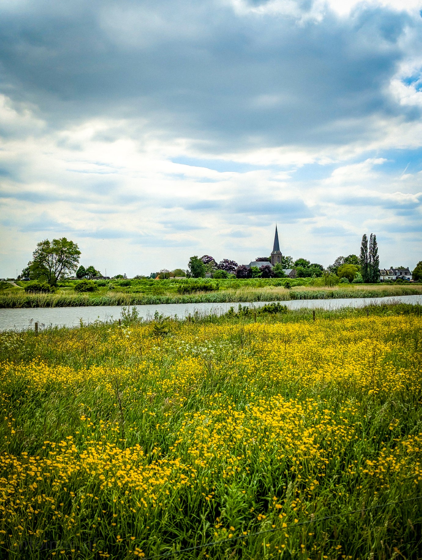 Everdinger Waarden. You walk along the river Lek.  Beautiful flower meadows surround you as you look towards the small town of Everdingen.
