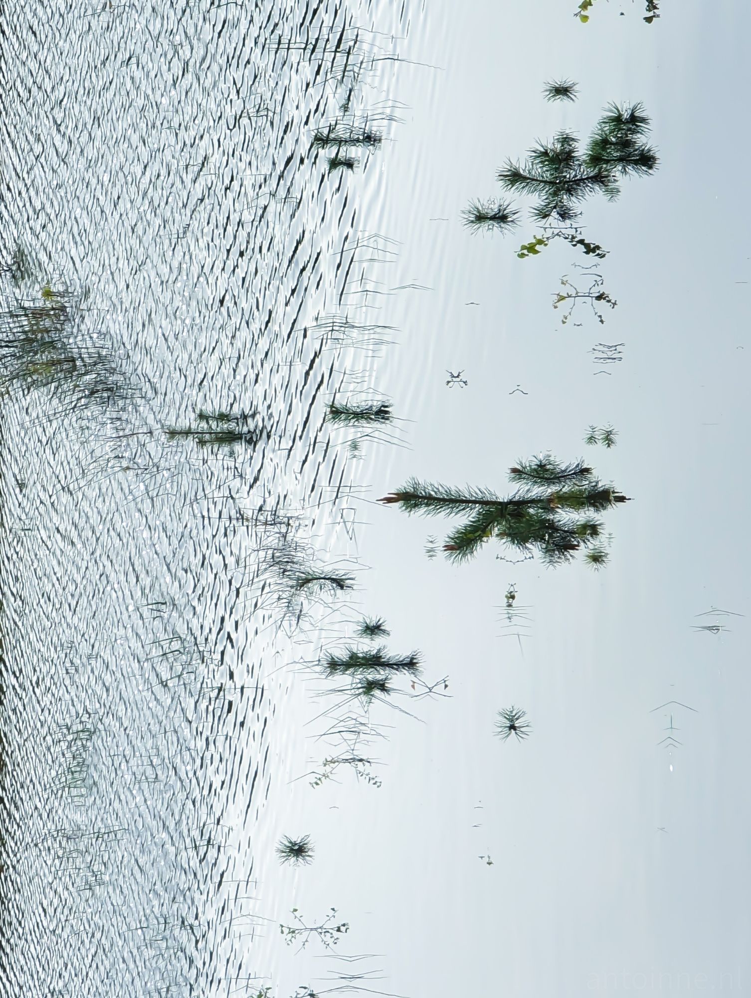 Under Water