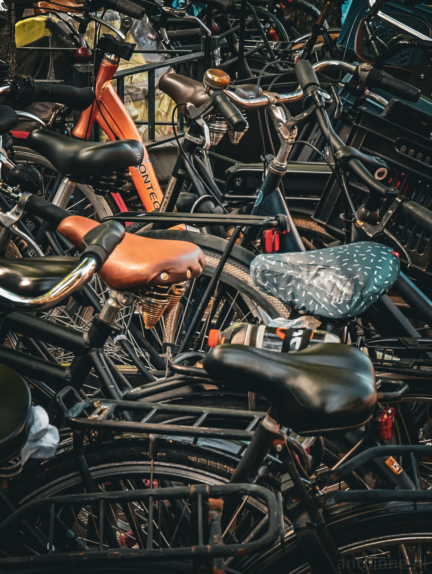 Bicycle Parking