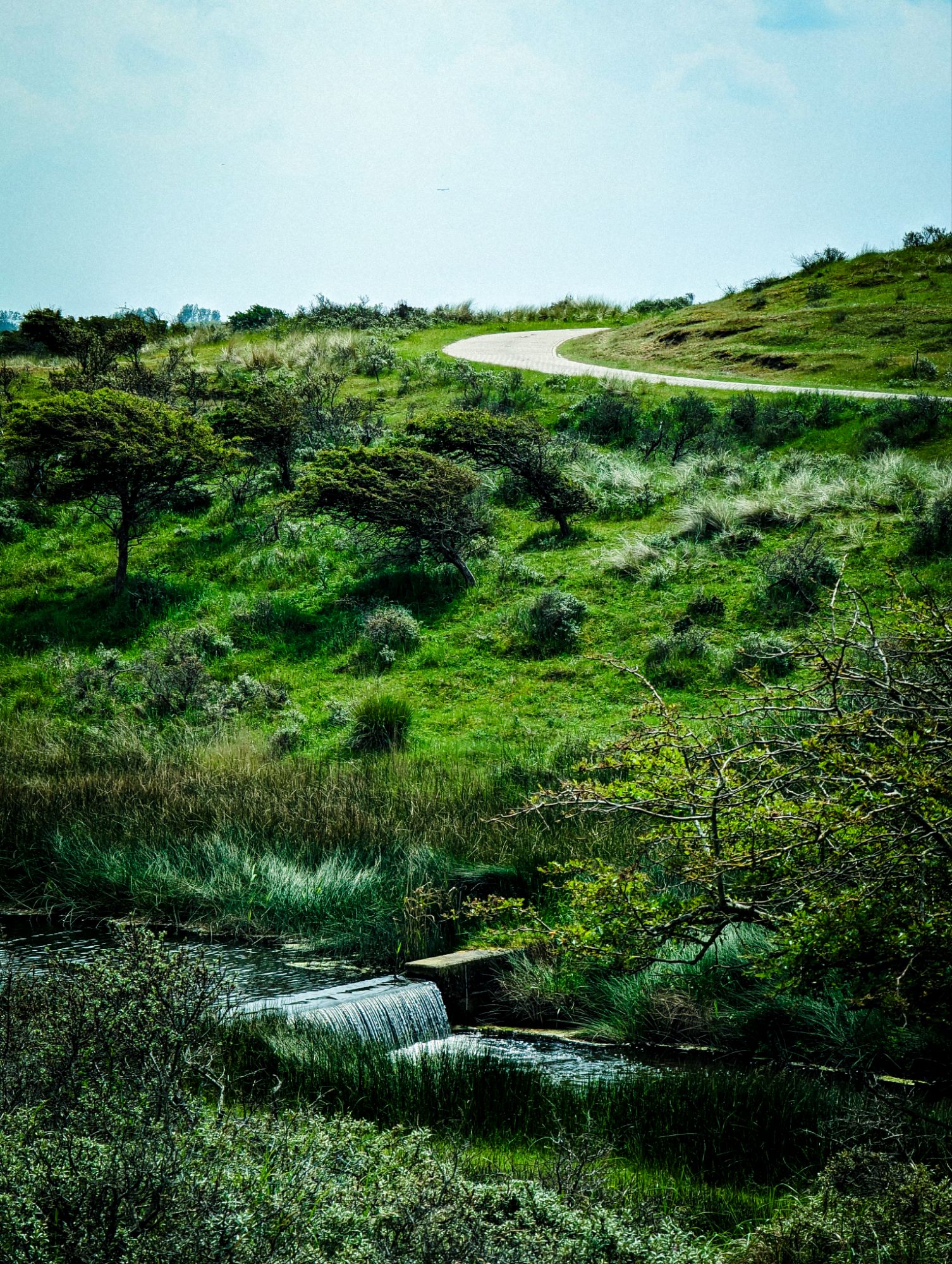 Amsterdamse Waterleidingduinen