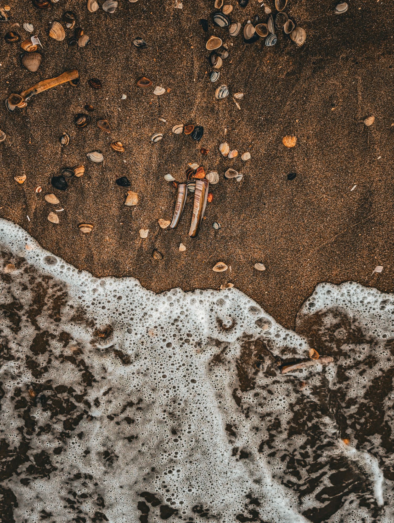 Shoreline