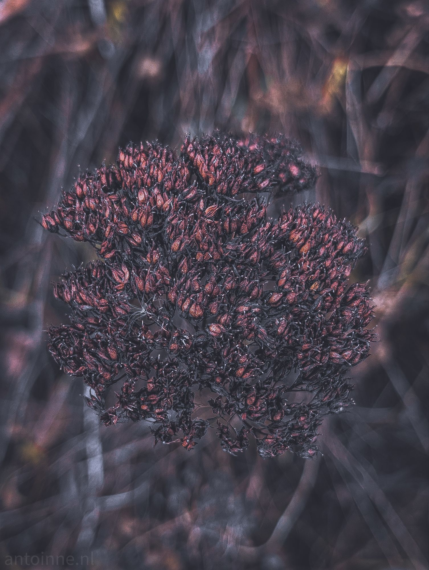 End of life
