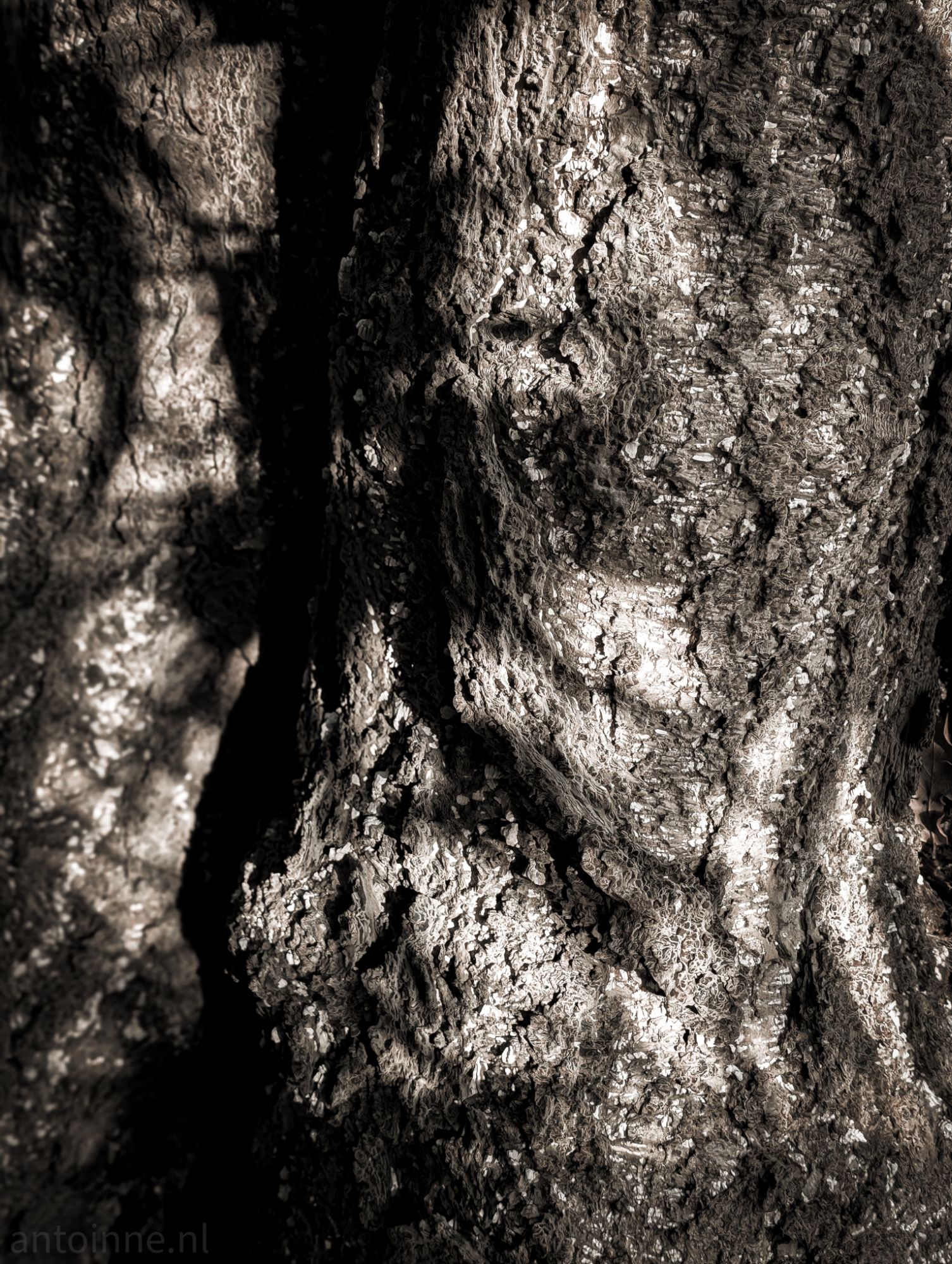 Natural patterns