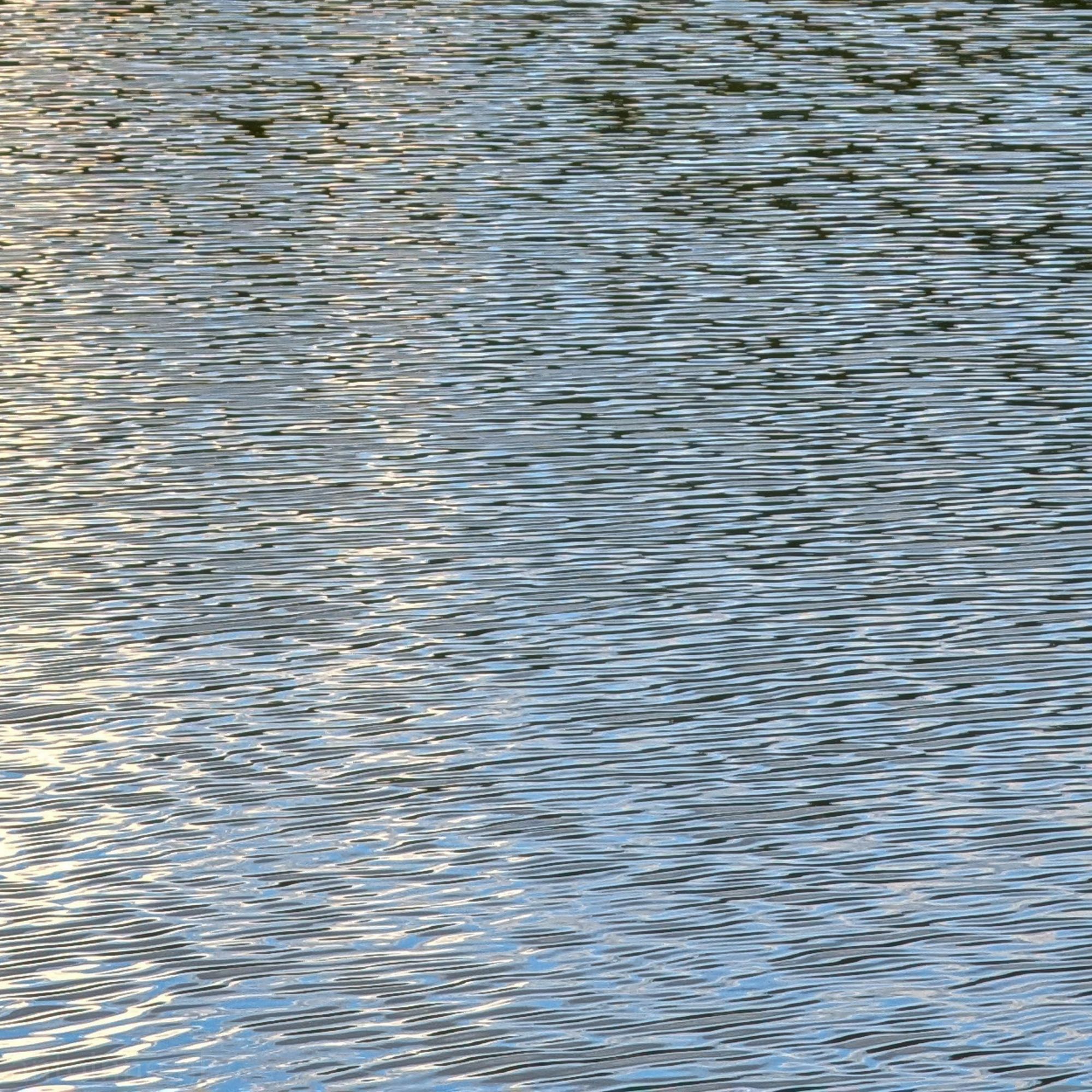 Ripples