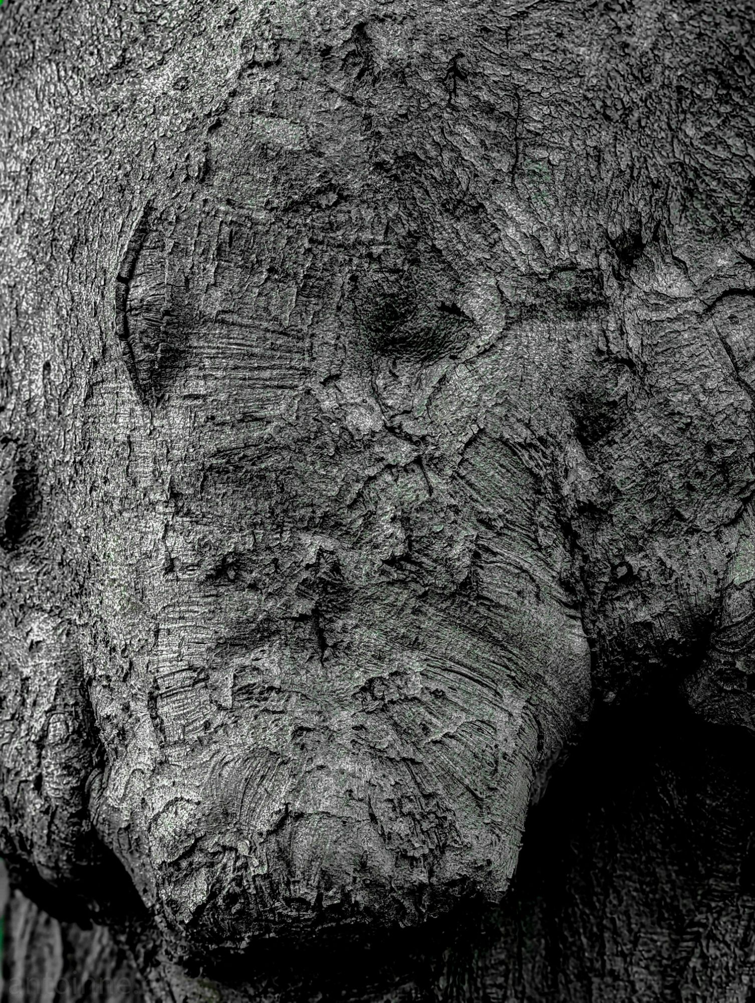Faces