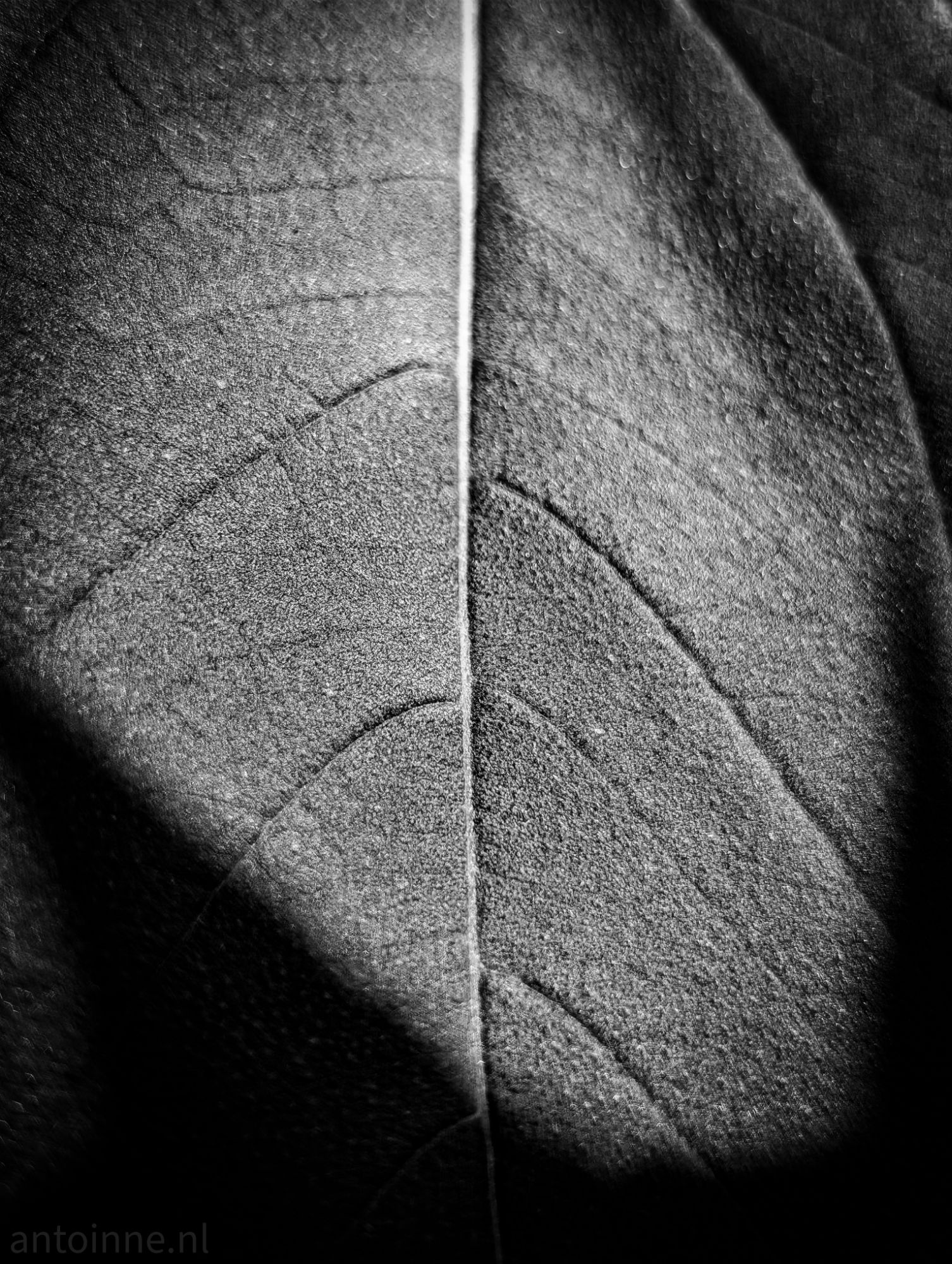 Structure and form