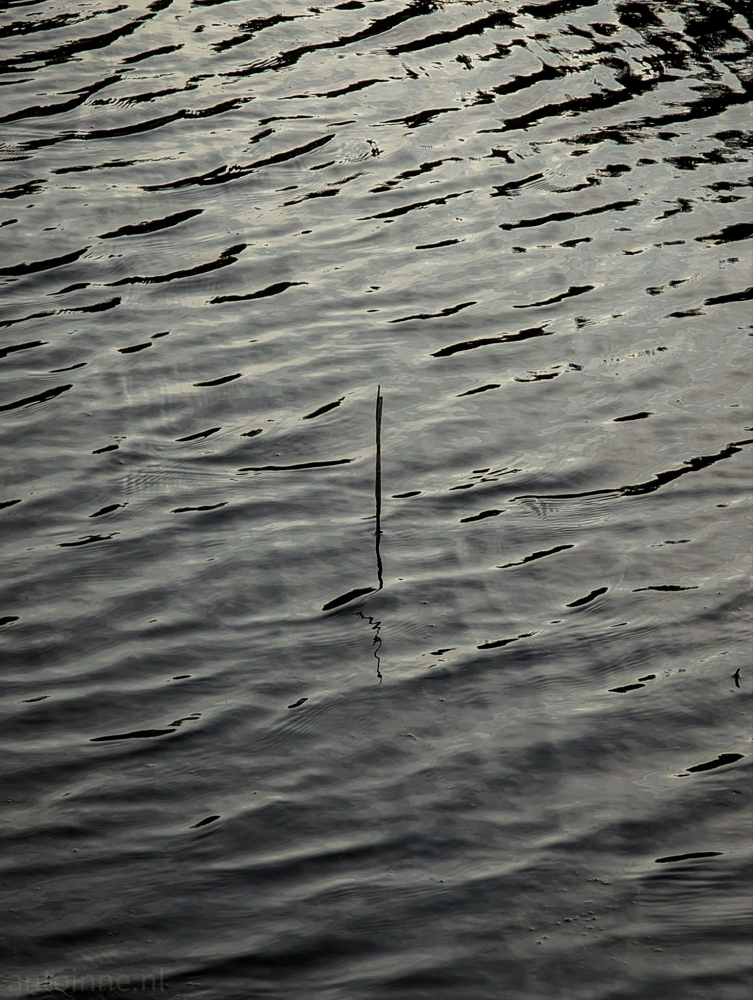 The Stick of Truth