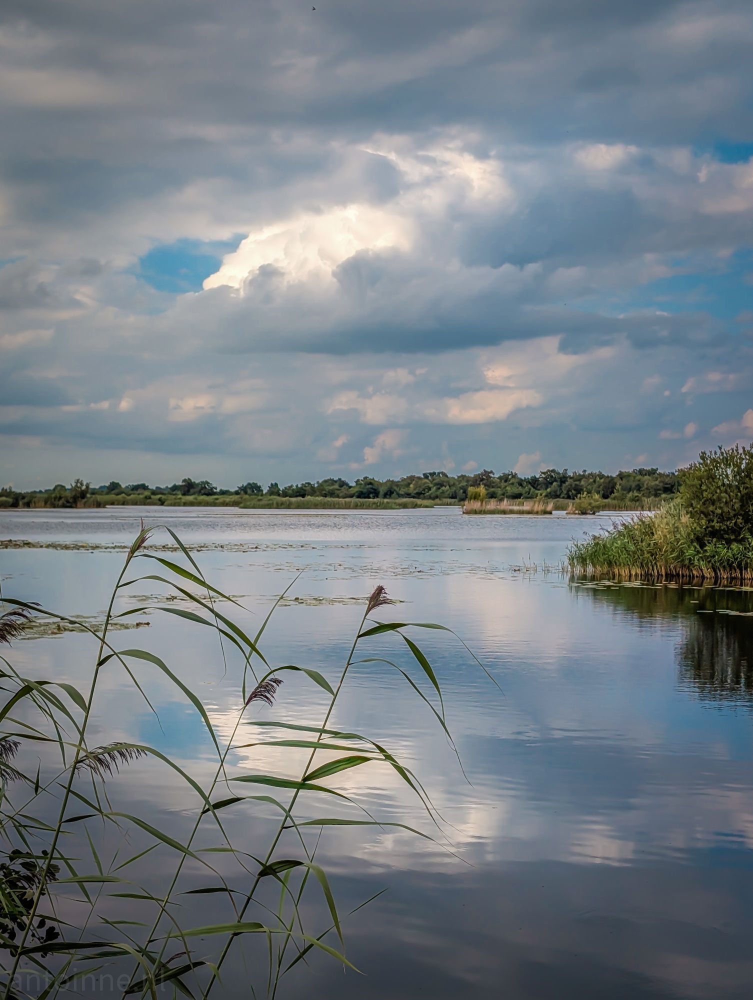 Ankeveense Plassen II