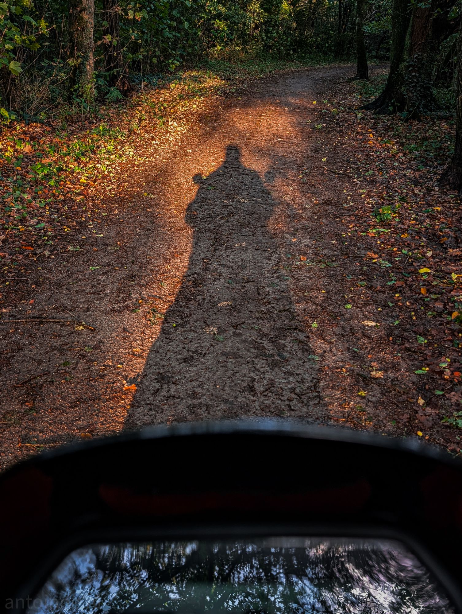 Evening ride