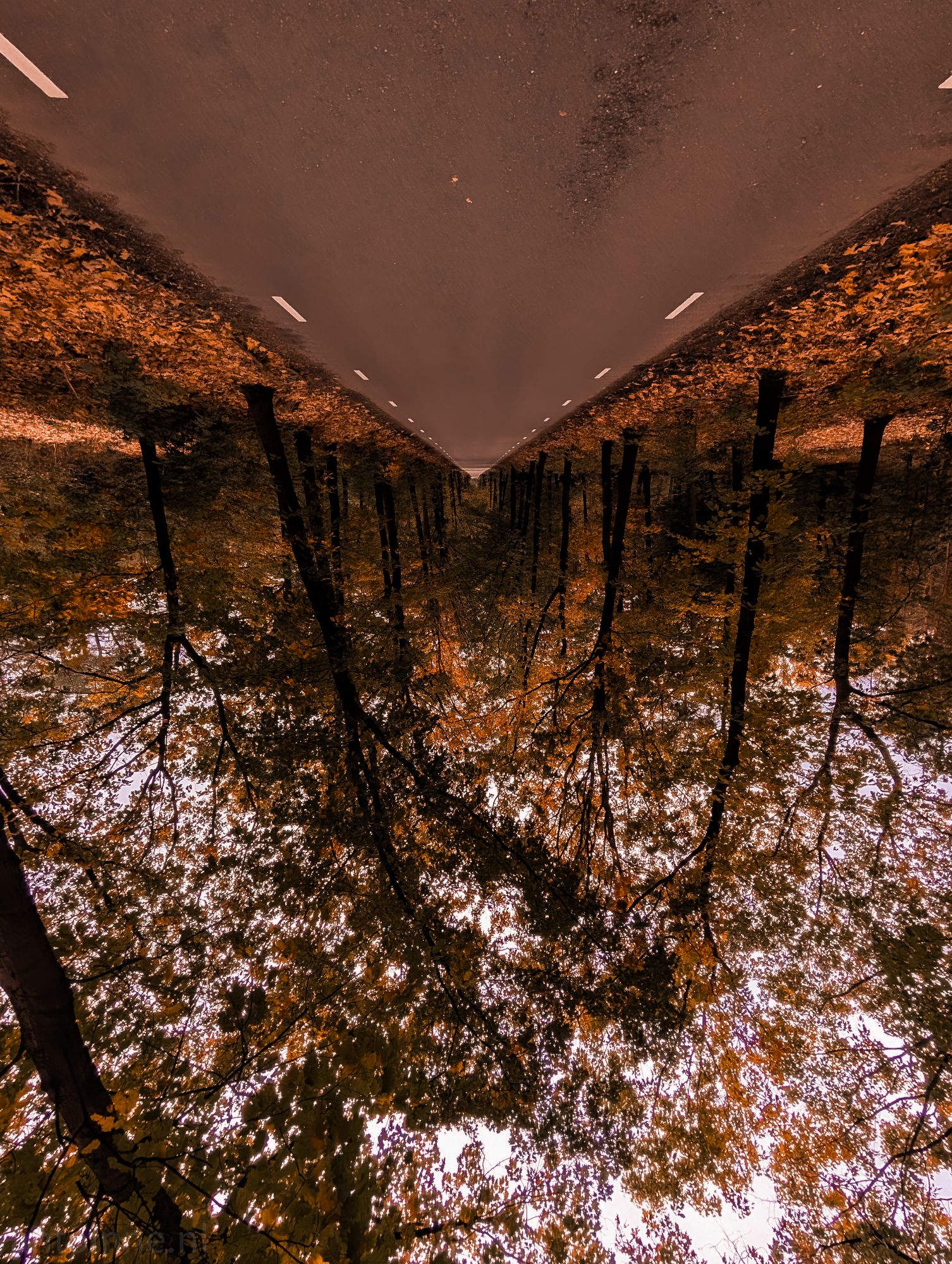 Another Perspective