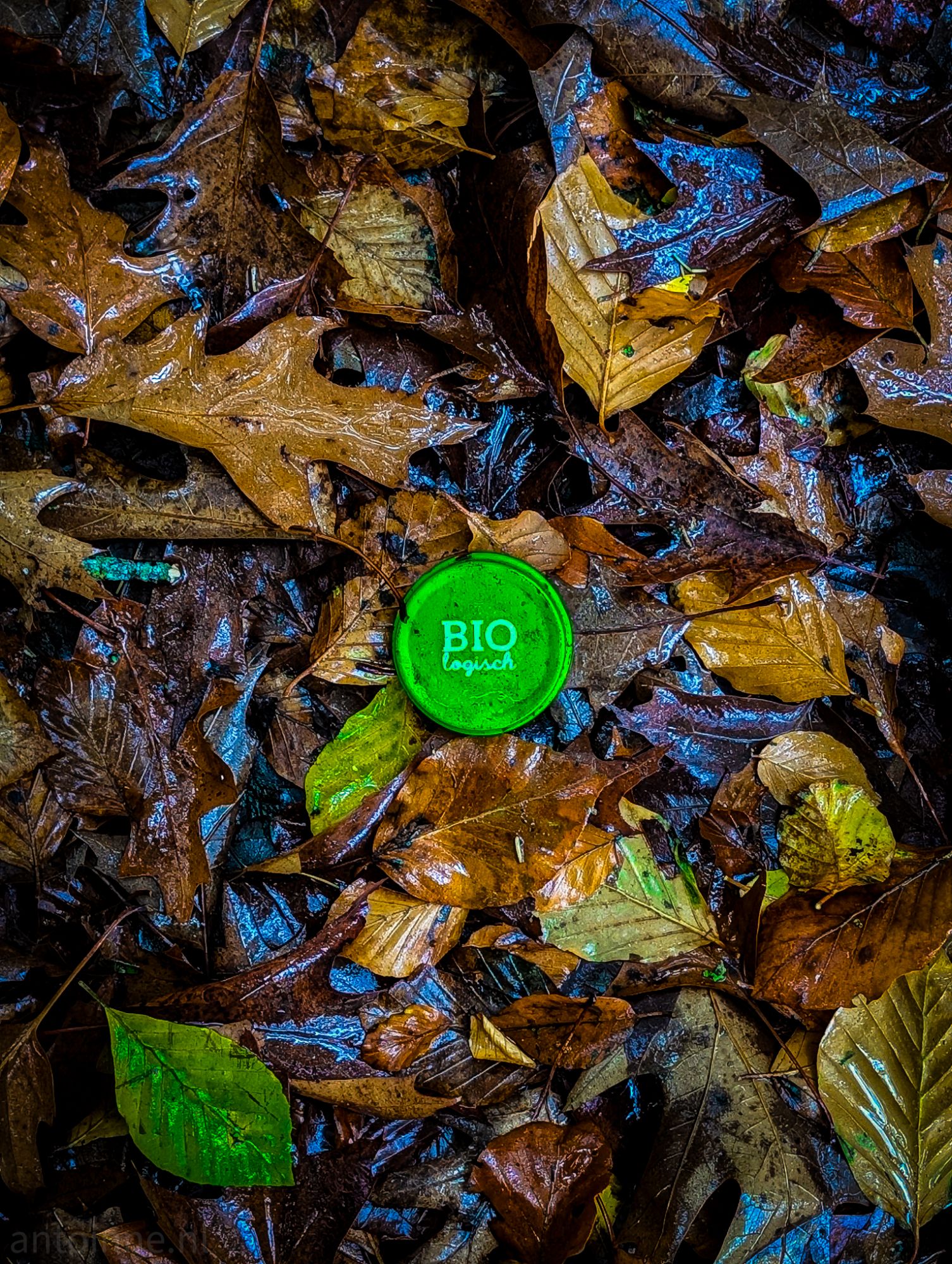 BIO waste