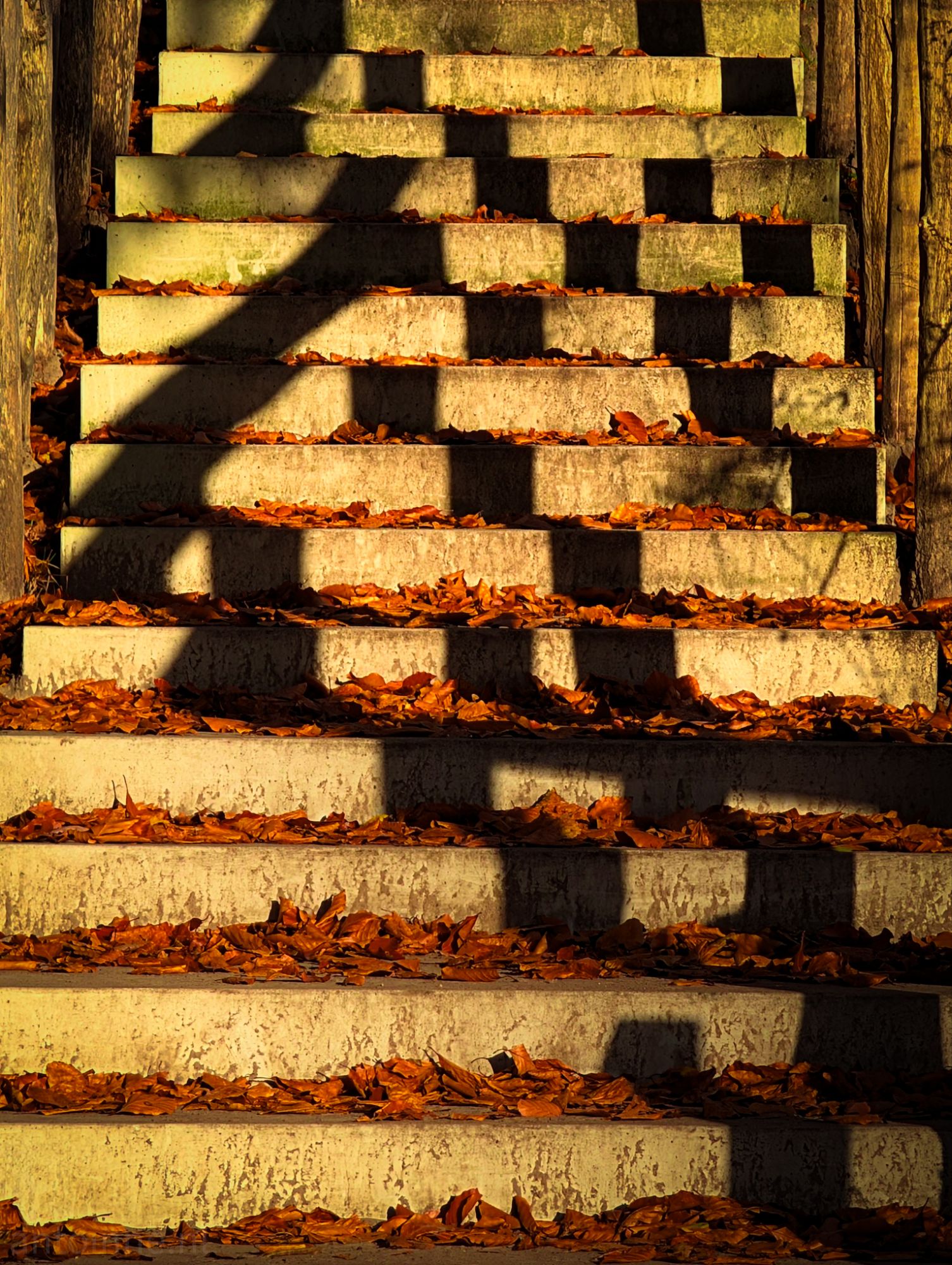 Autumnal Staircase