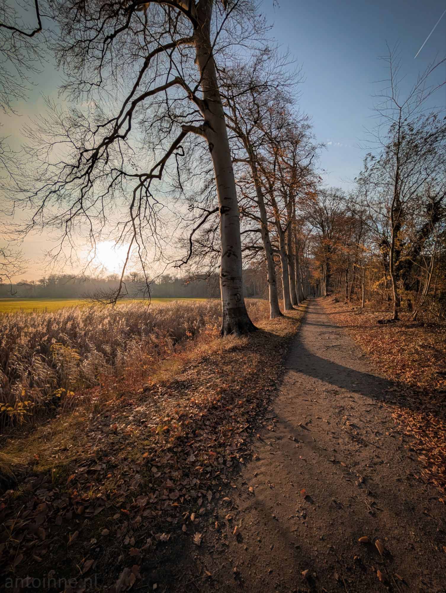 Landgoed Spanderswoud