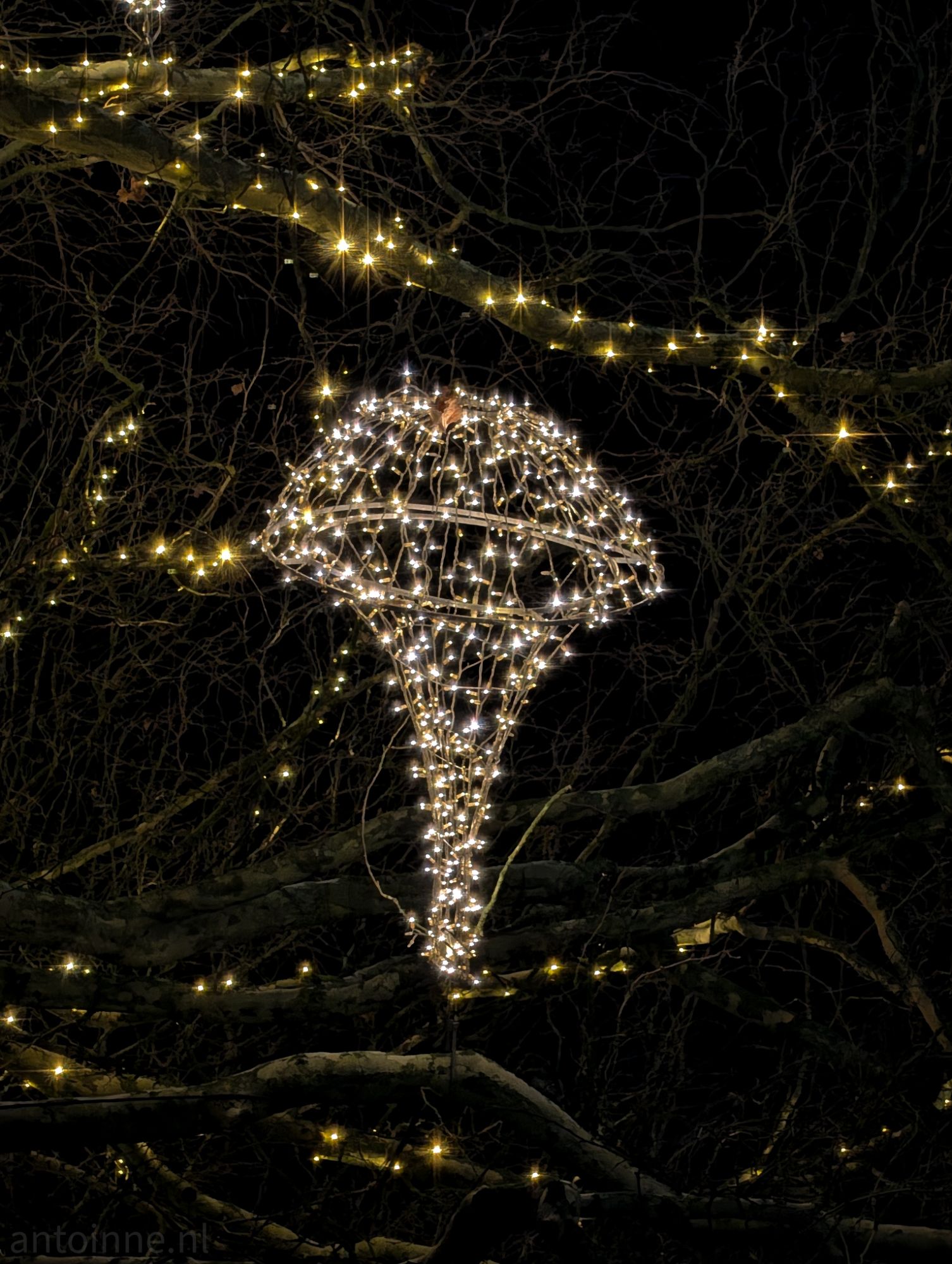 Lichtjesavond Laren III