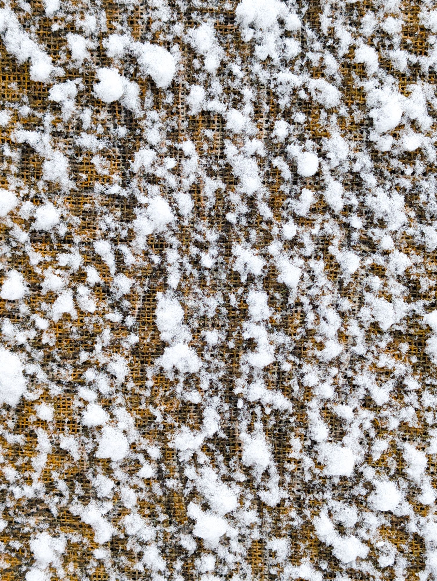 Sneeuw
