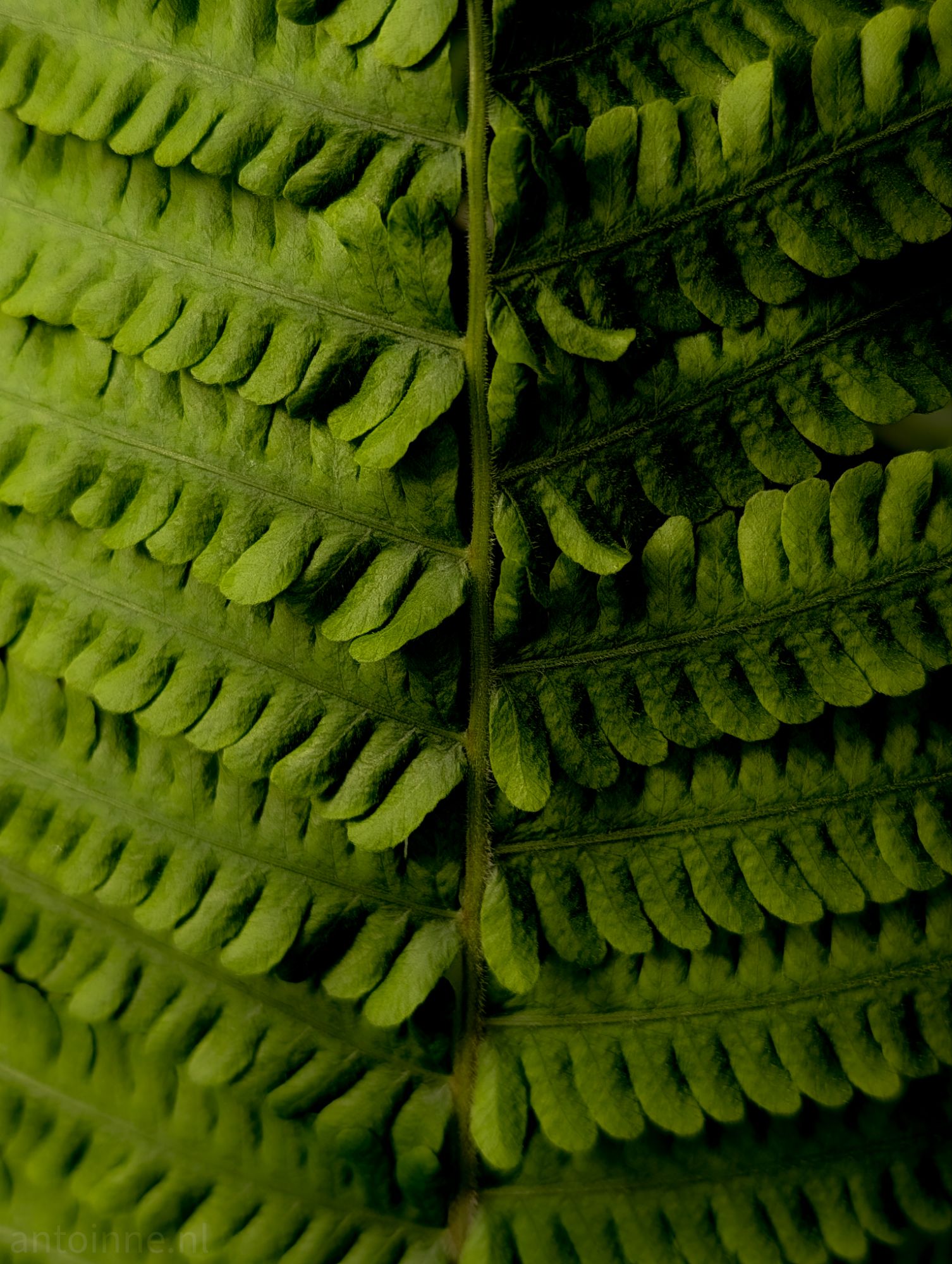 Repeating patterns