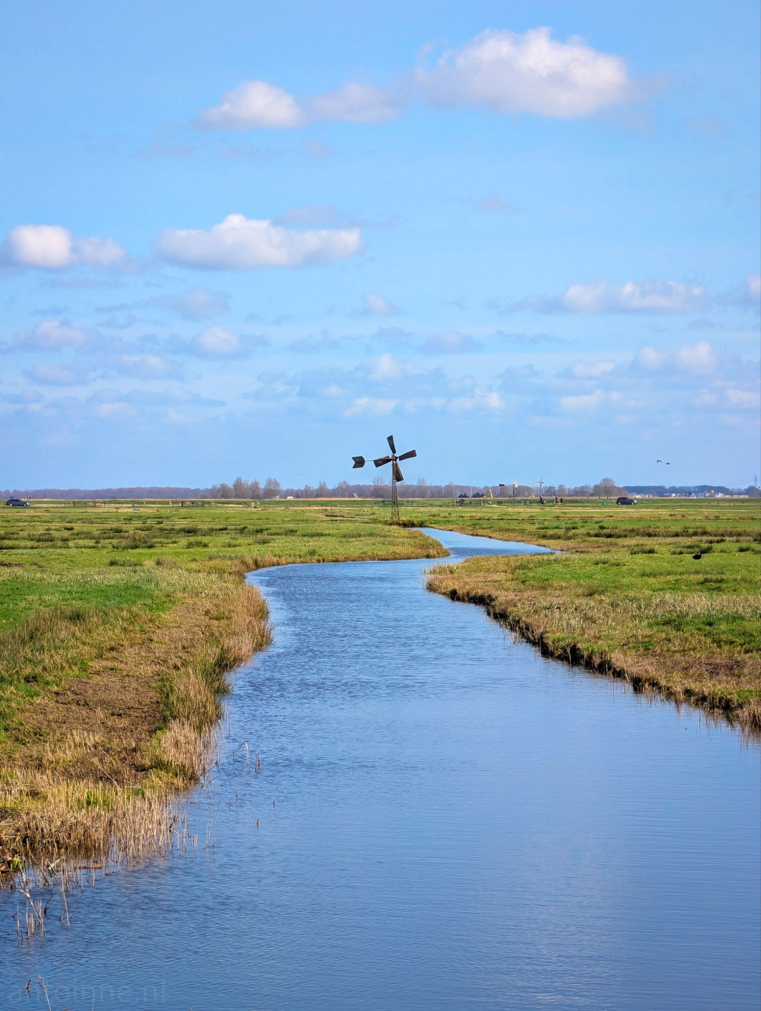 Polder landscape