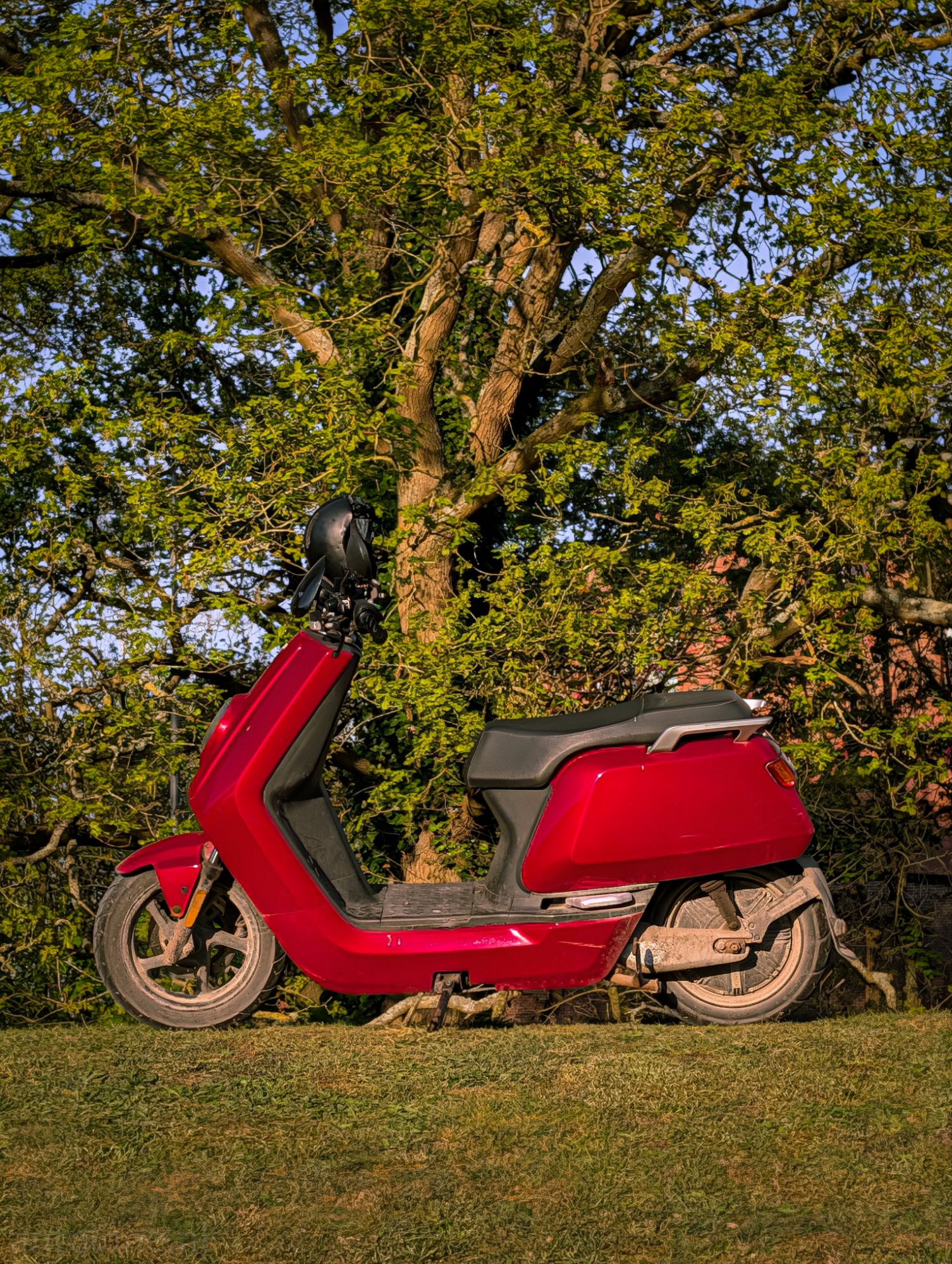 Red scooter