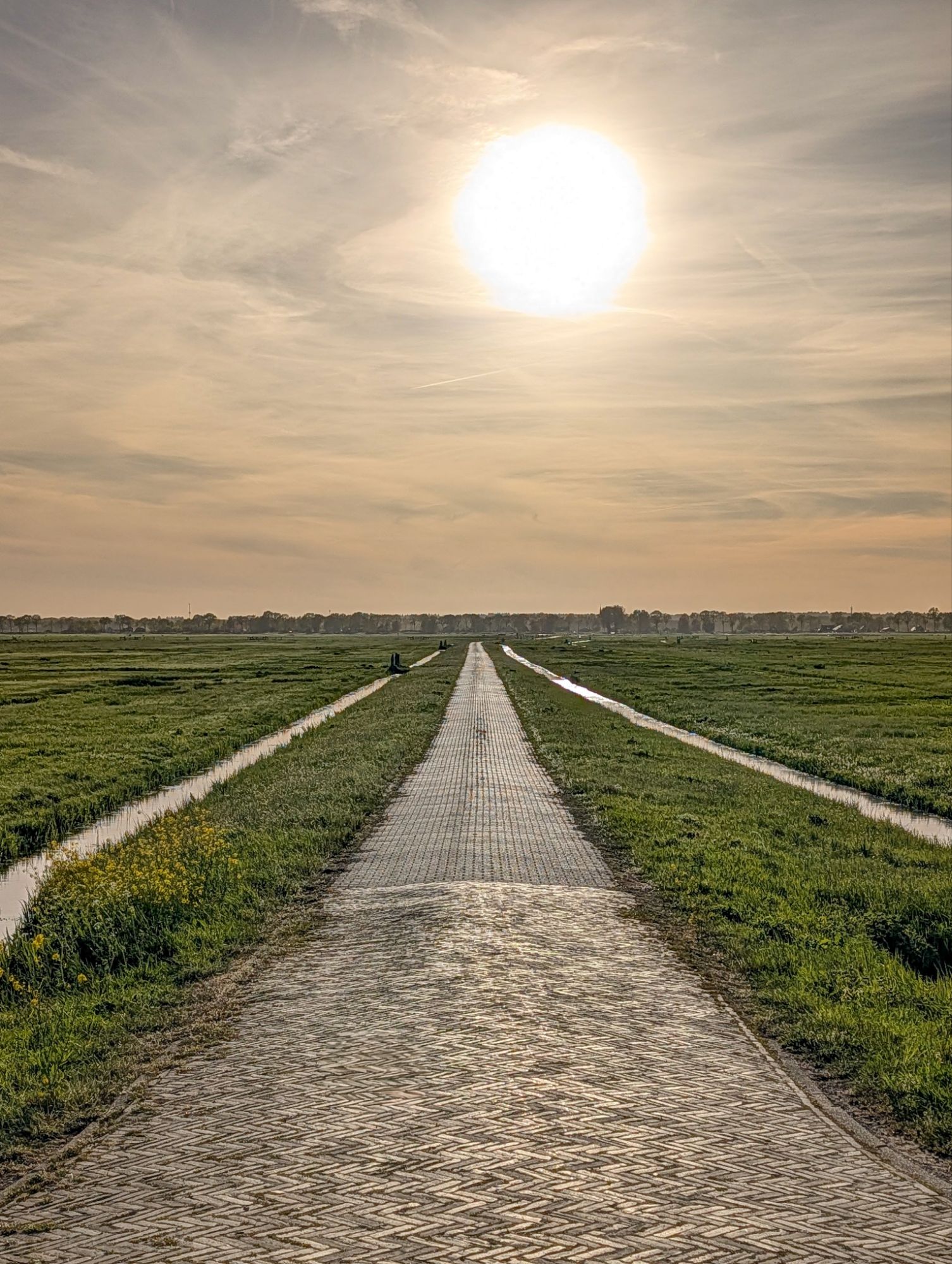 Polder