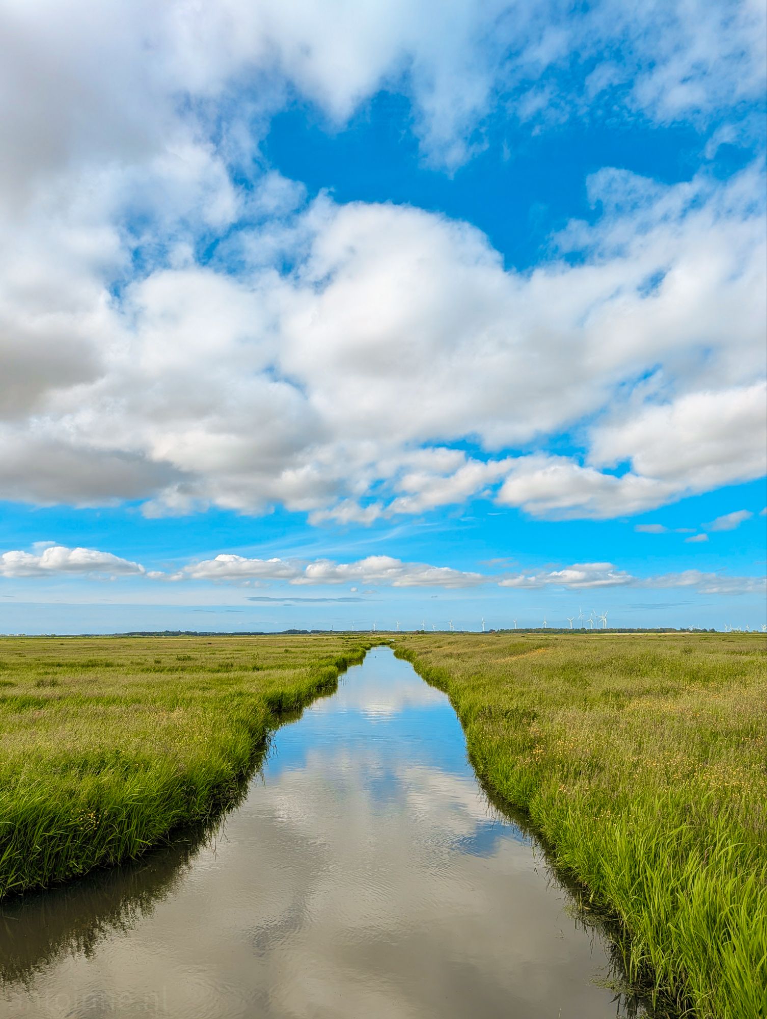 Zomerdijk Eemnes