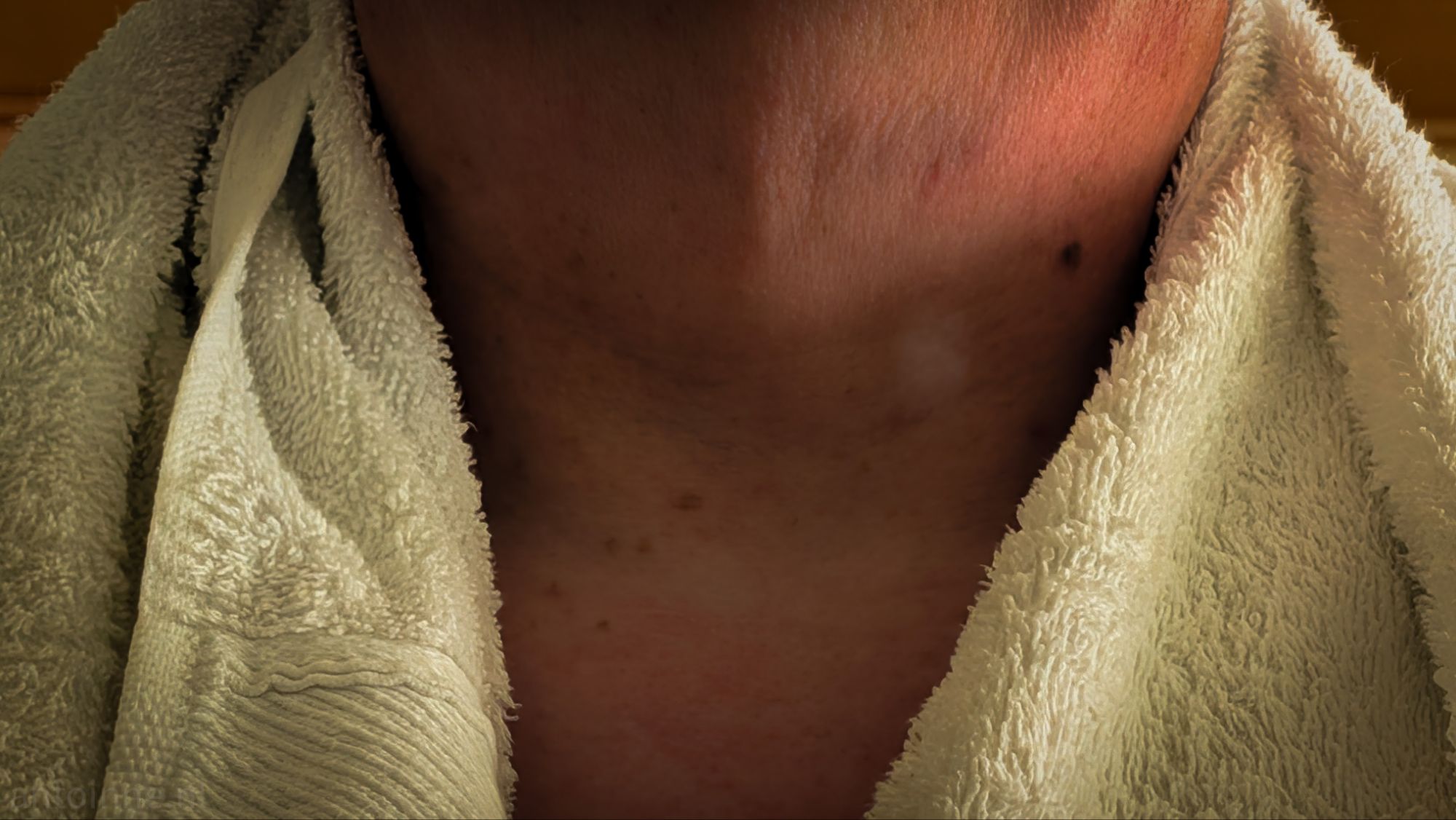 Towel Day