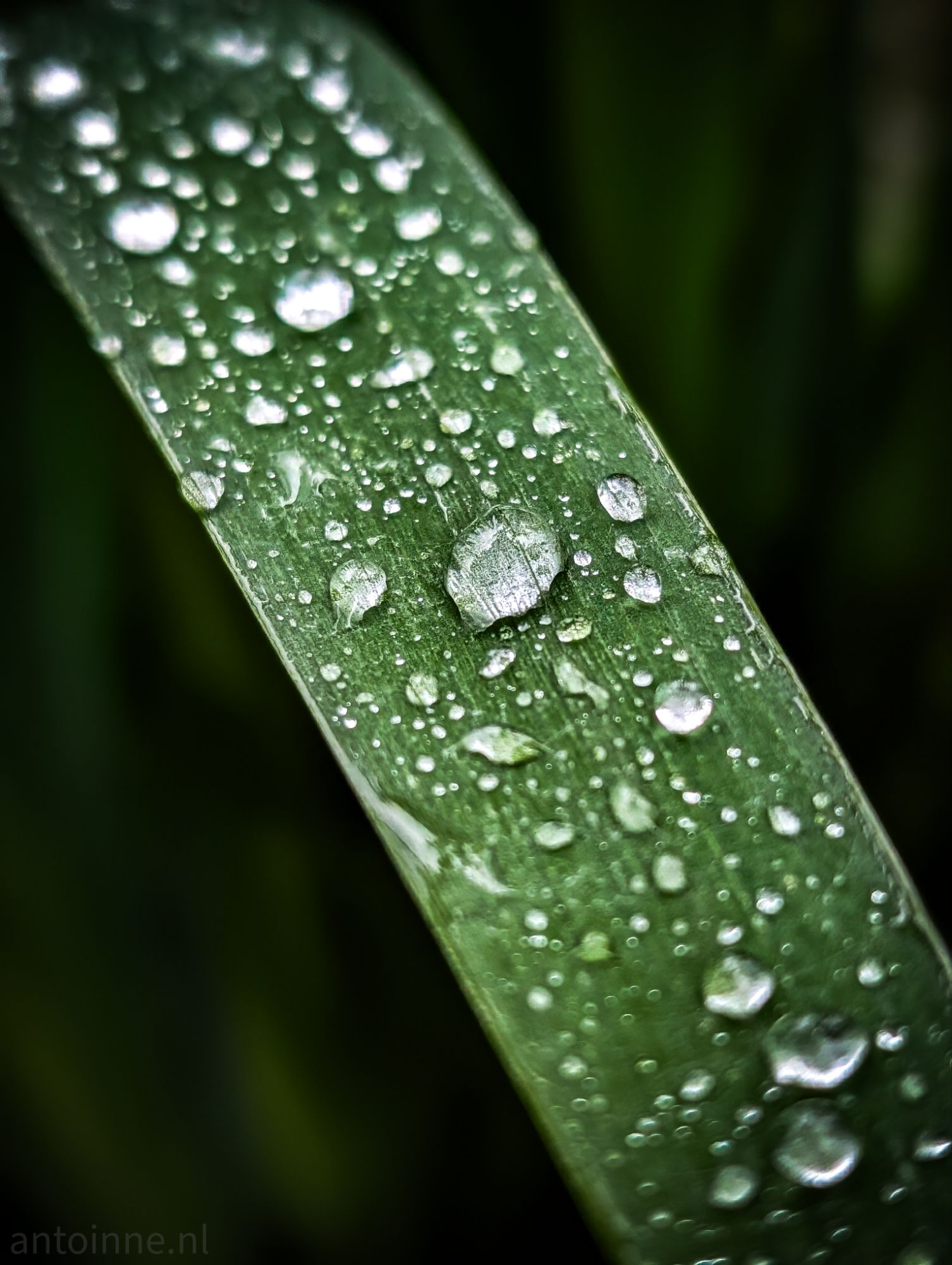 Droplets