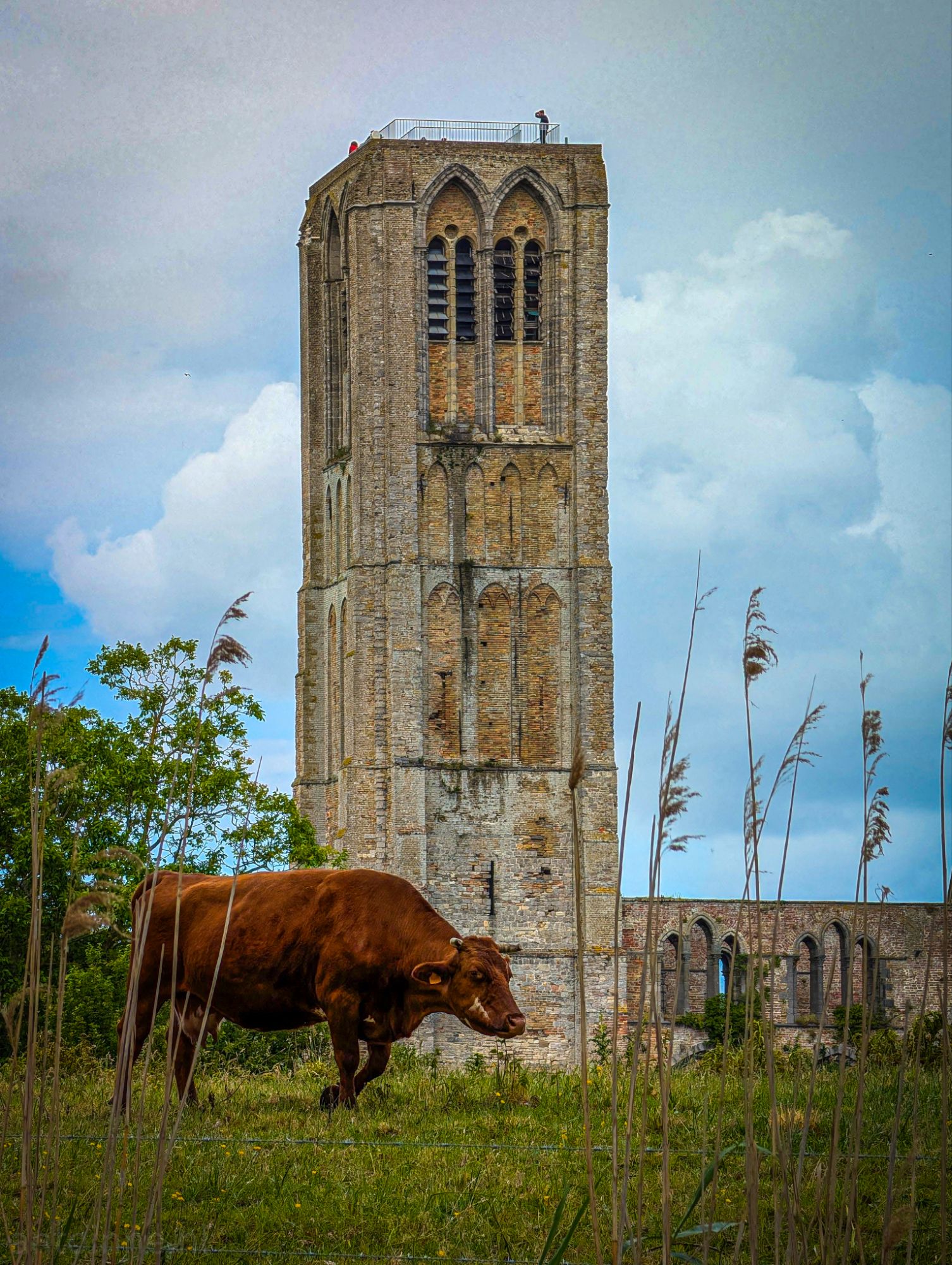 Damme (Belgium)