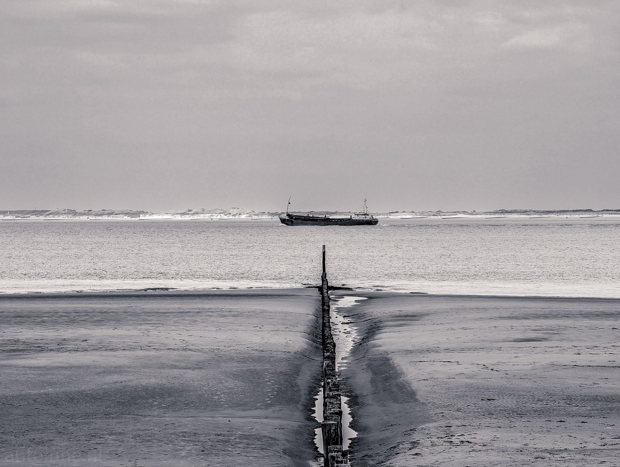 Westerschelde