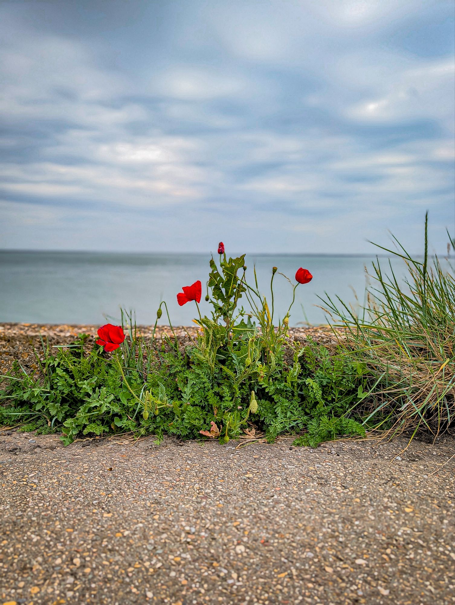 Oosterschelde