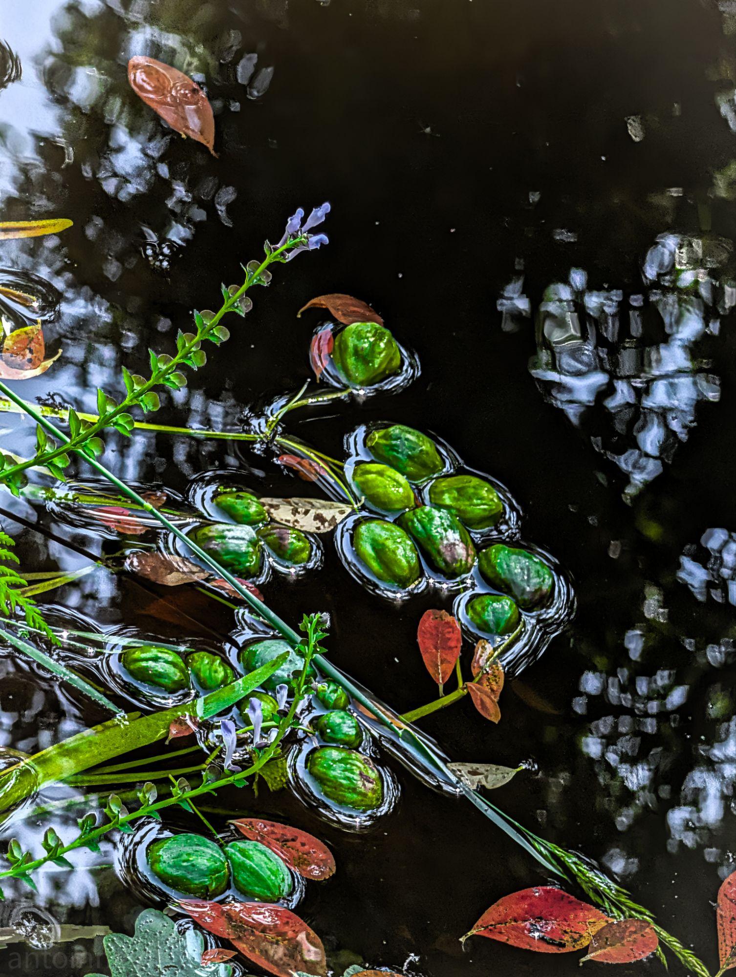 Floating