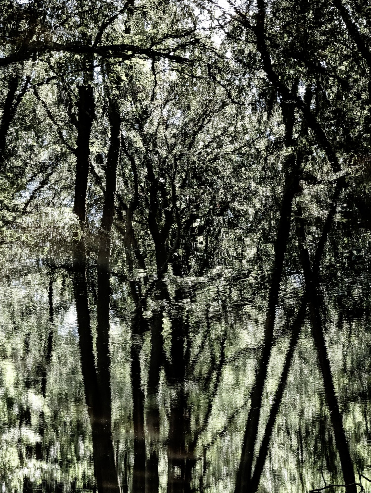 Distorted