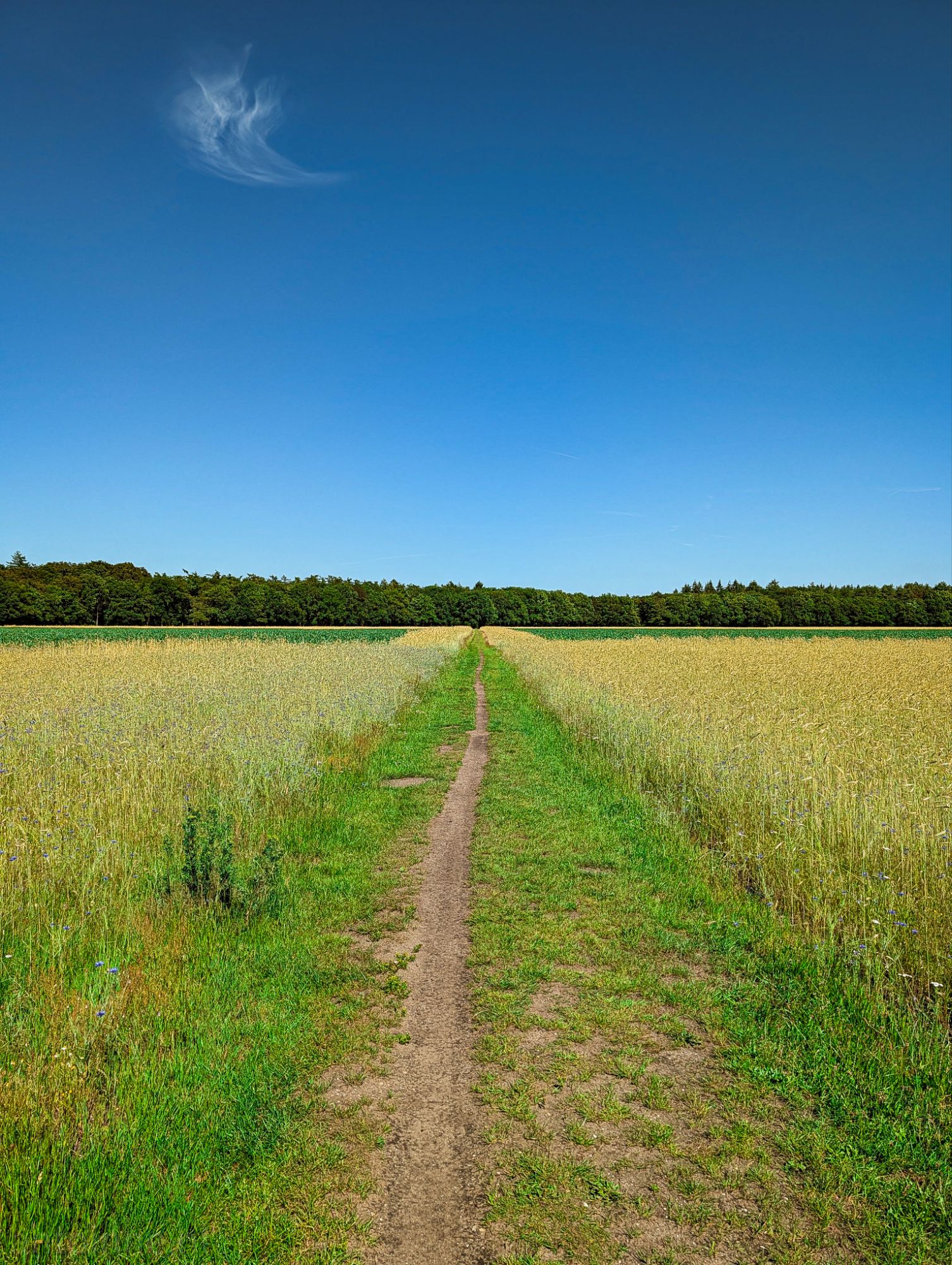 Path