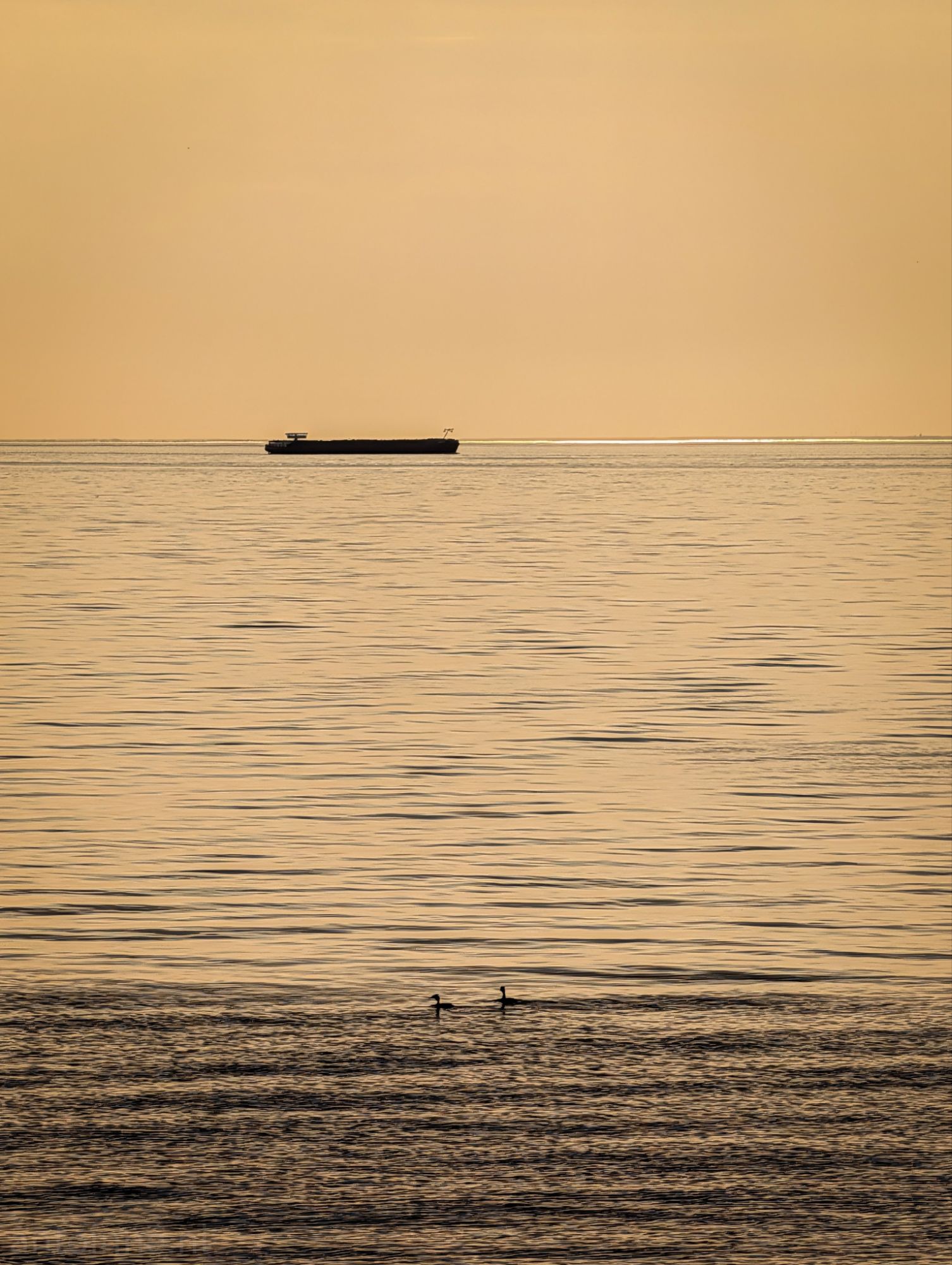 Markermeer
