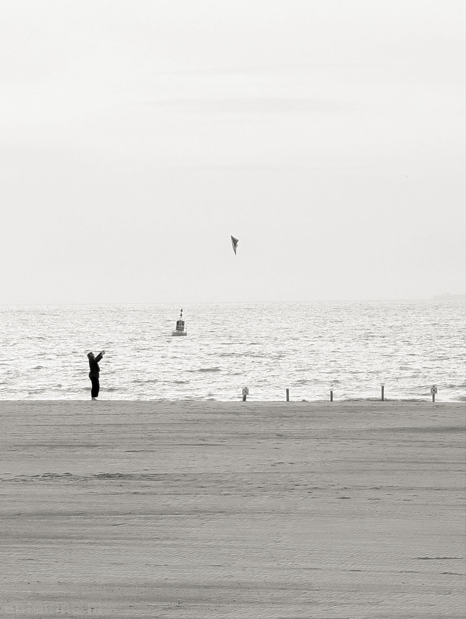 Kite flying