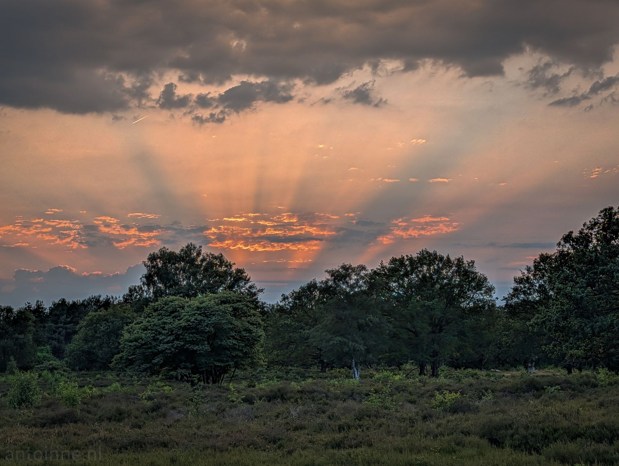 Sunbeams