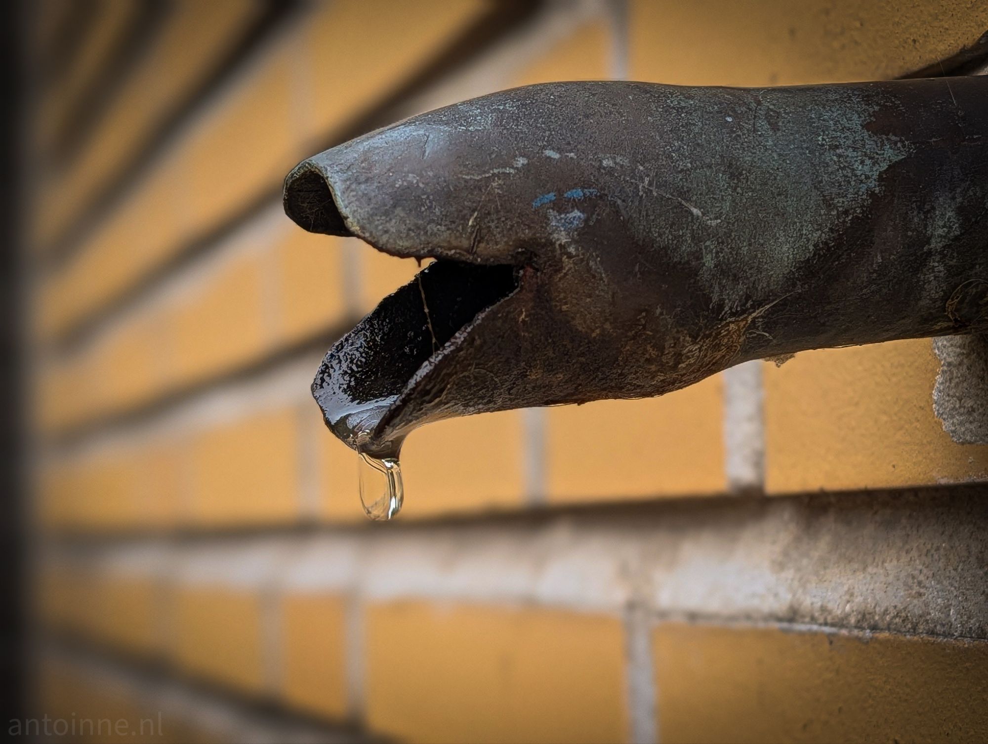 Wasser