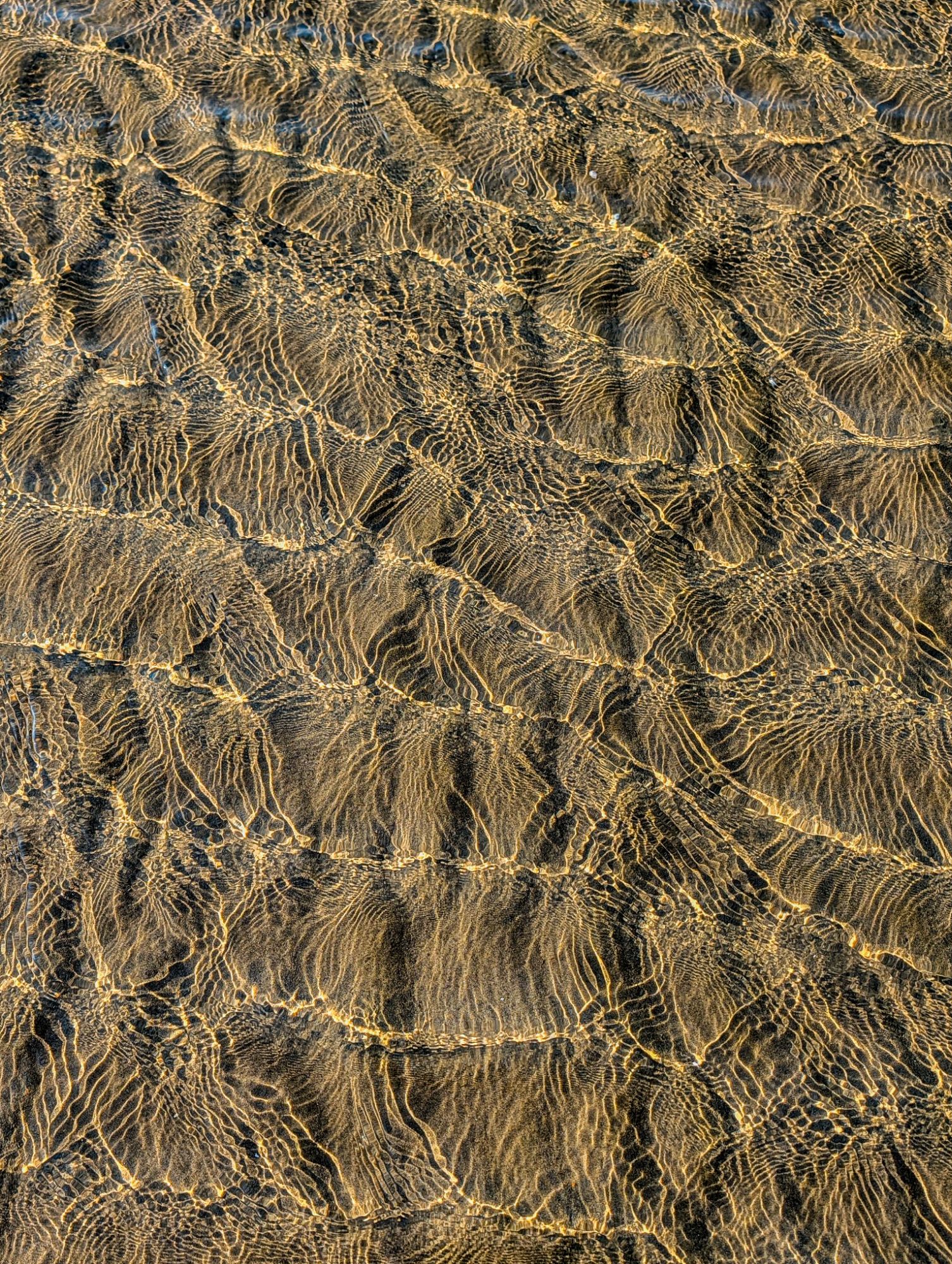 Fluid Dynamics