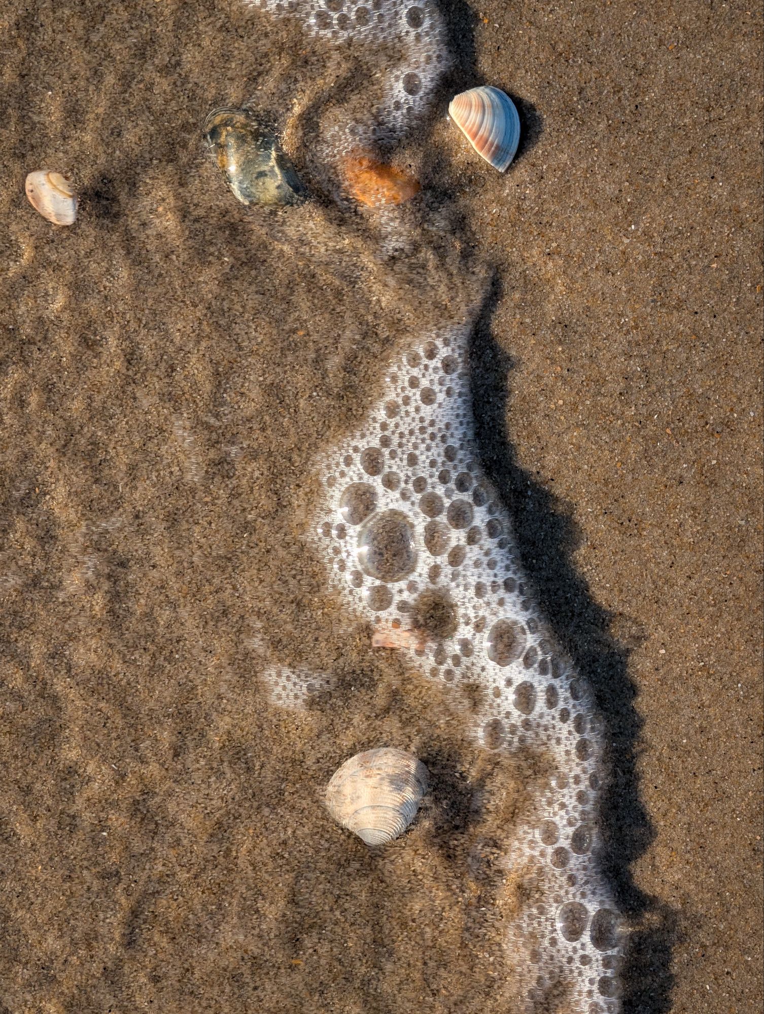 At the beach