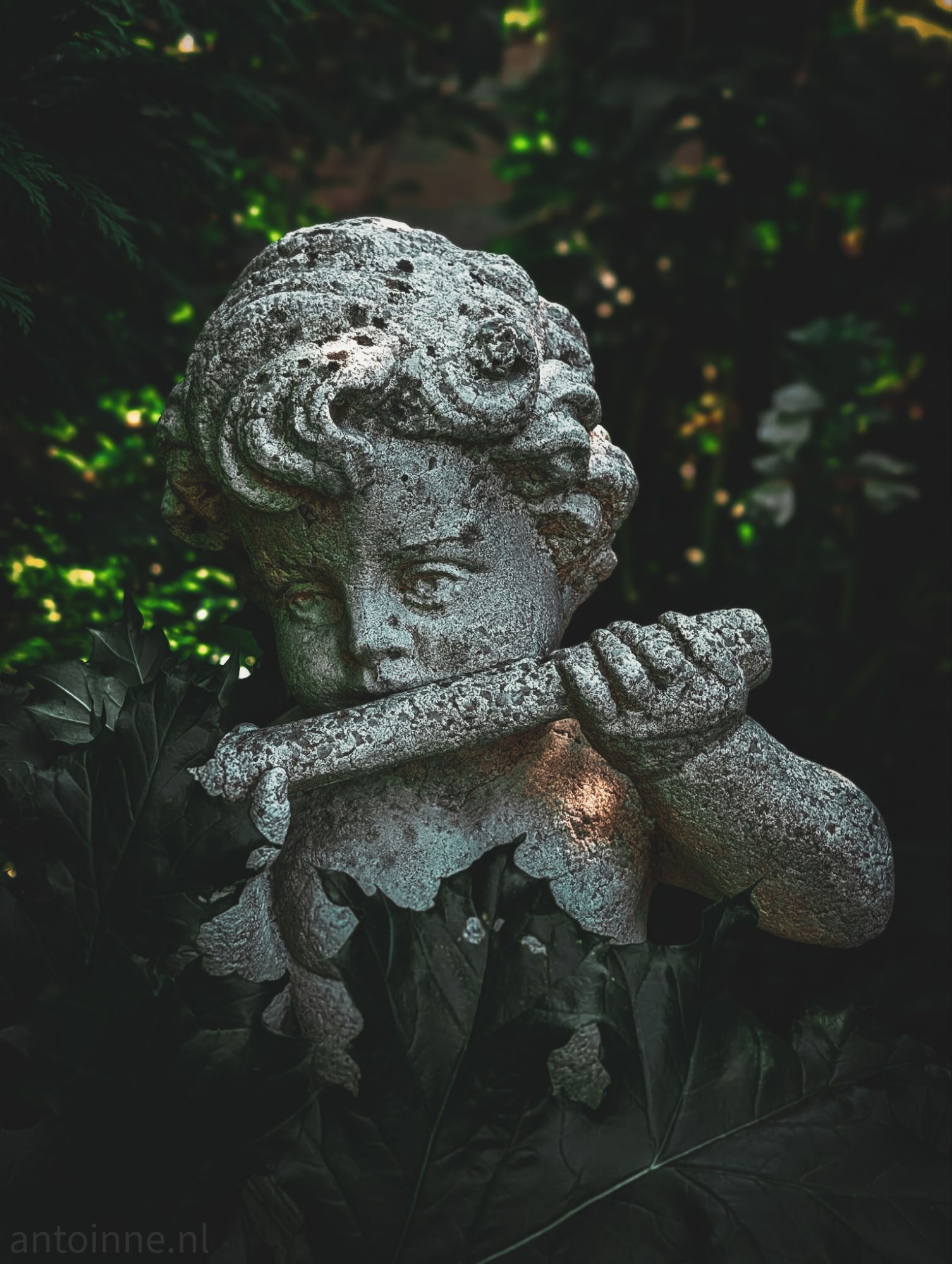 Cherub