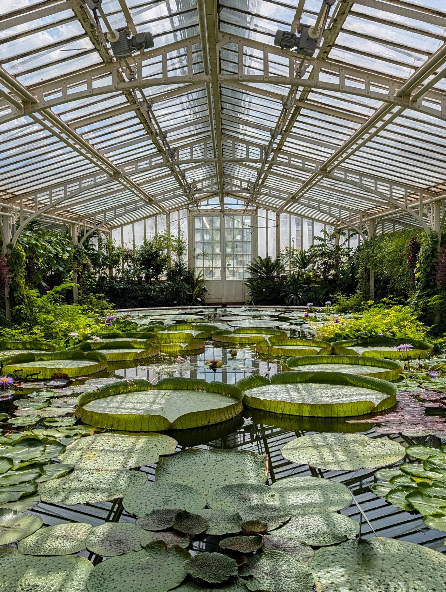 Victorian Greenhouse