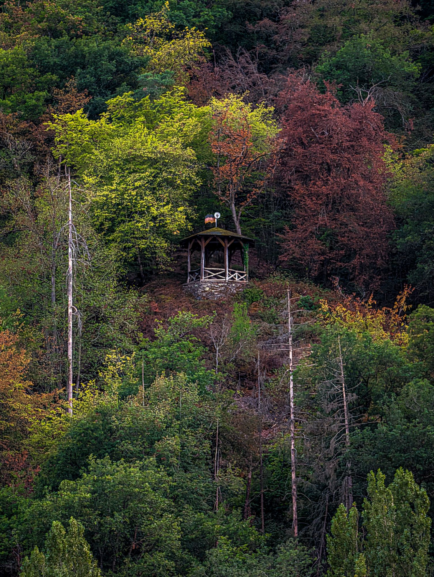 Pavilion